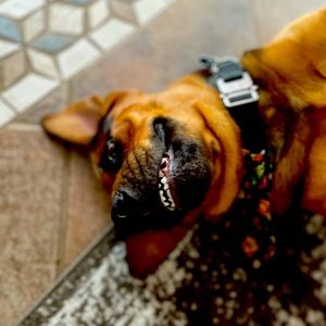 Meet your Posher, Macie